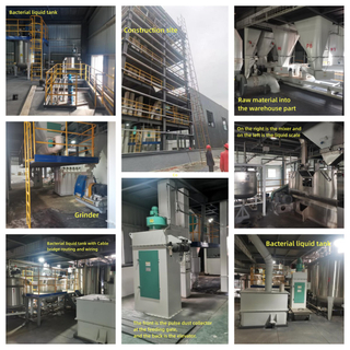 Raw Material Ferment Production Line 8-20ton Per Hour of Feed Machine